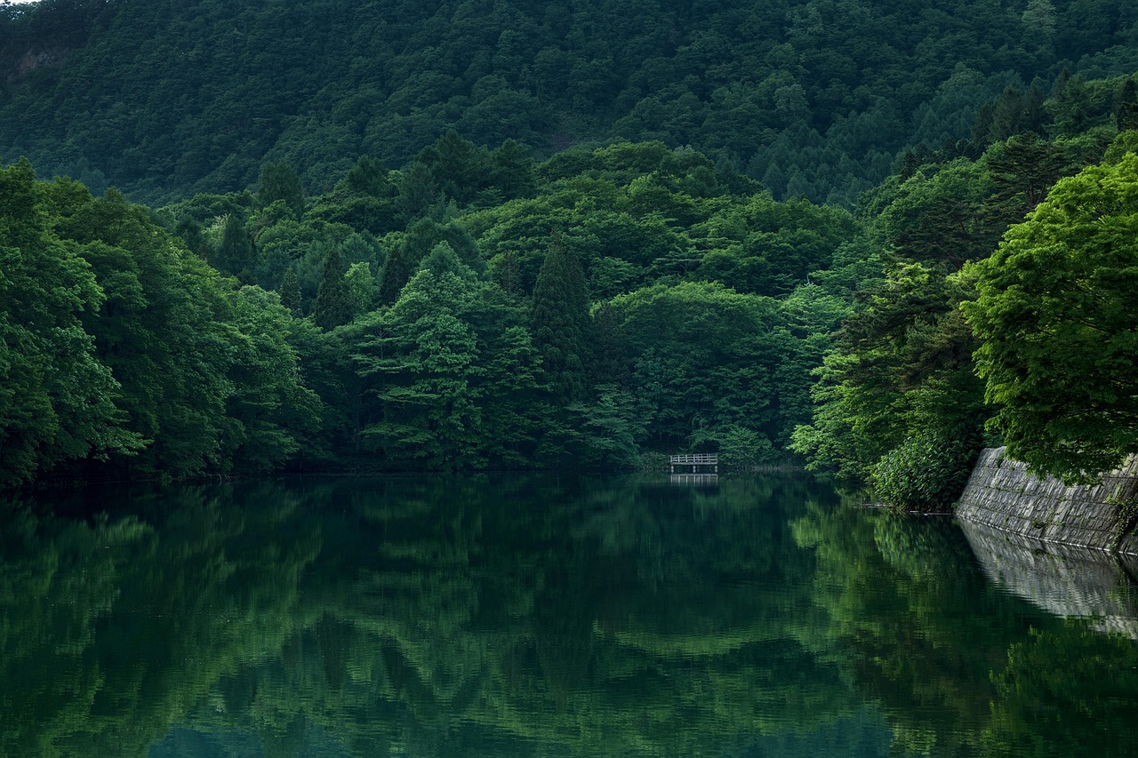太行山林